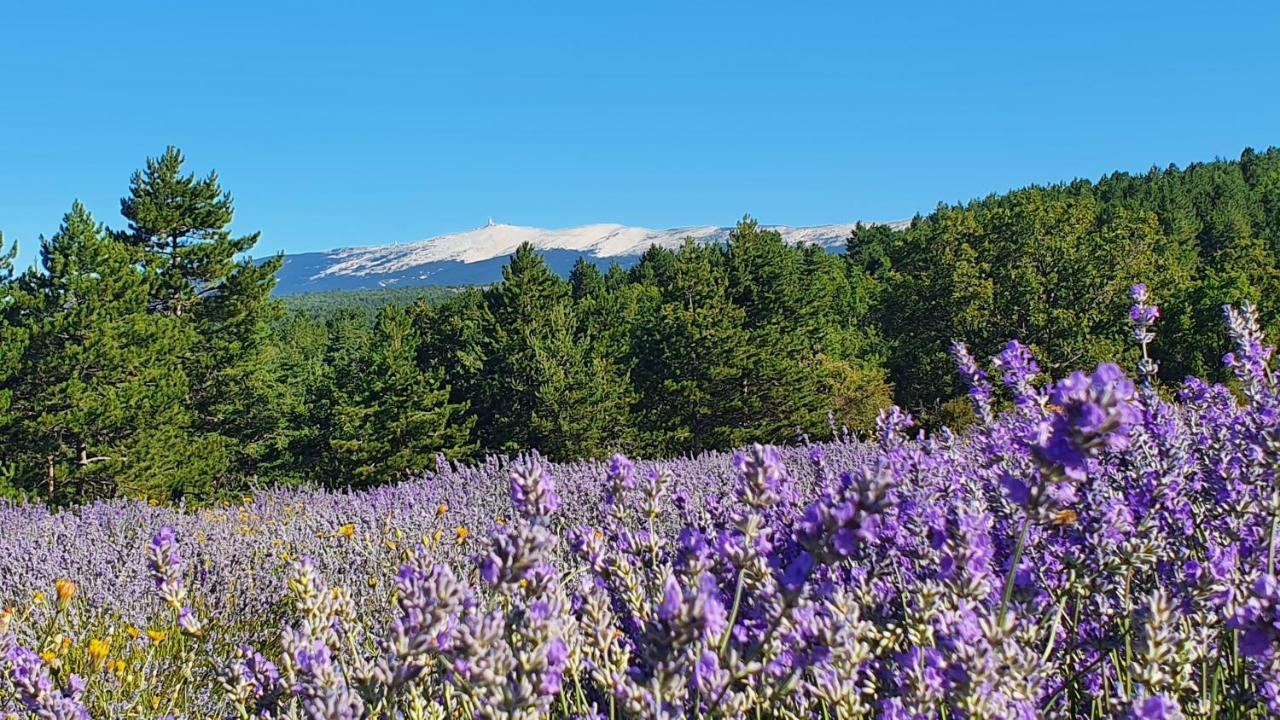 A Ventoux Yourte Monieux Exterior foto