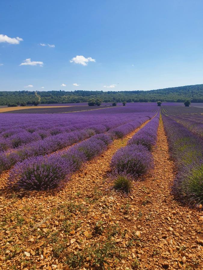 A Ventoux Yourte Monieux Exterior foto