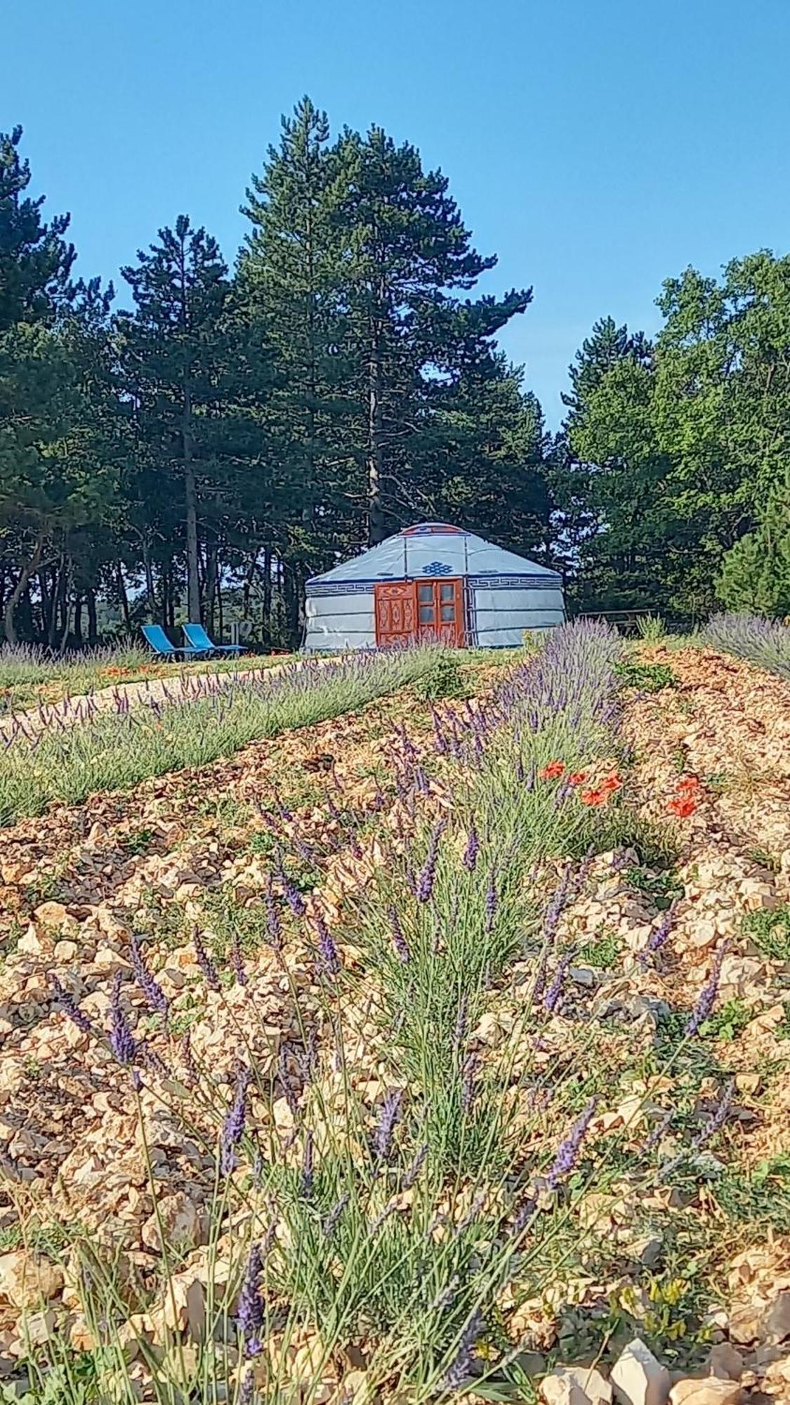 A Ventoux Yourte Monieux Exterior foto