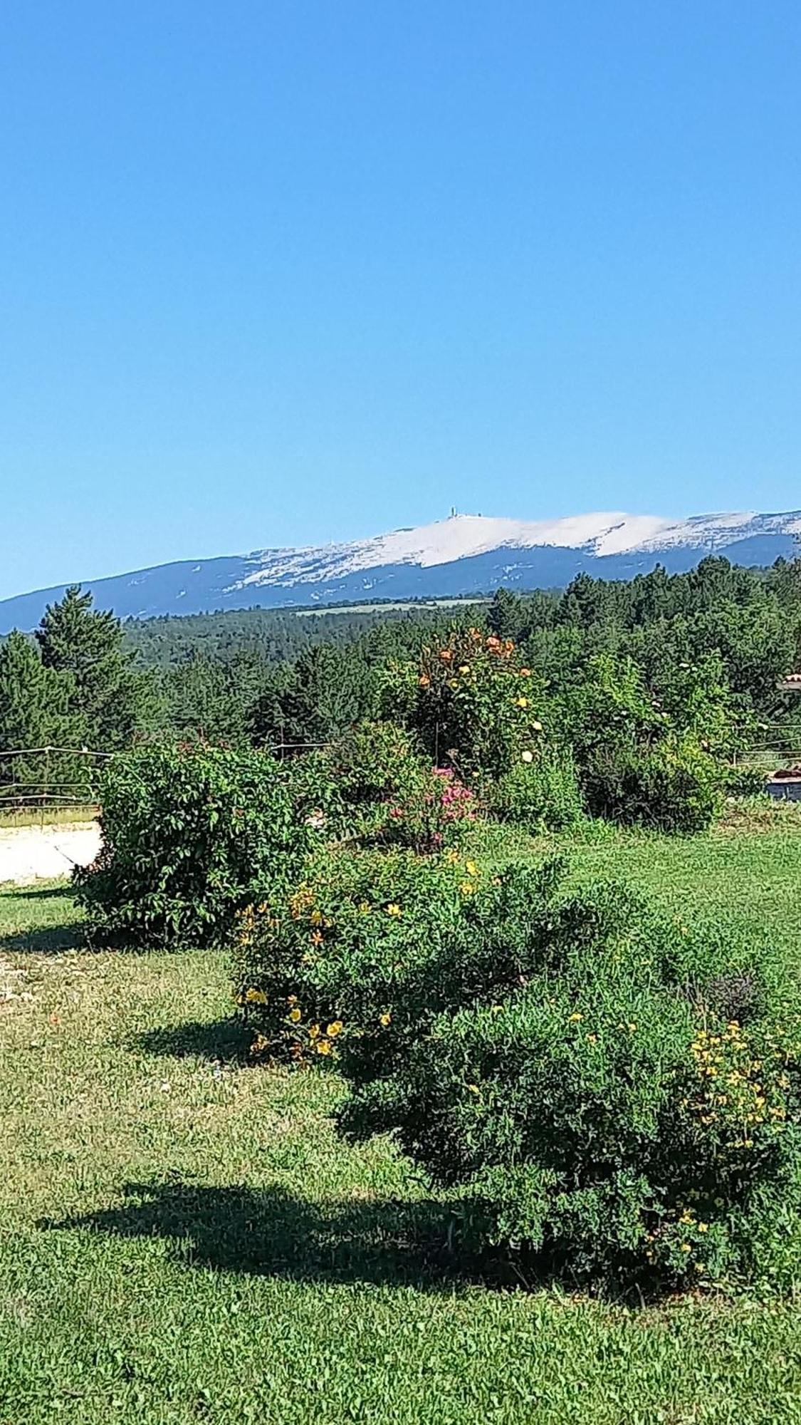 A Ventoux Yourte Monieux Exterior foto